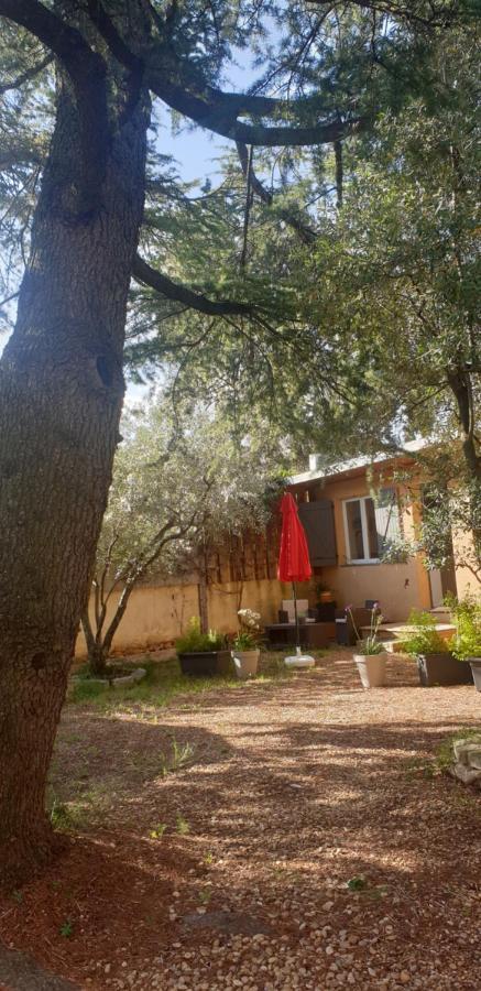 La Vigne Et L'Olivier Lejlighed Villeneuve-lès-Avignon Eksteriør billede