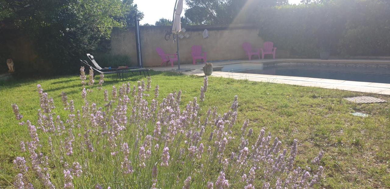 La Vigne Et L'Olivier Lejlighed Villeneuve-lès-Avignon Eksteriør billede